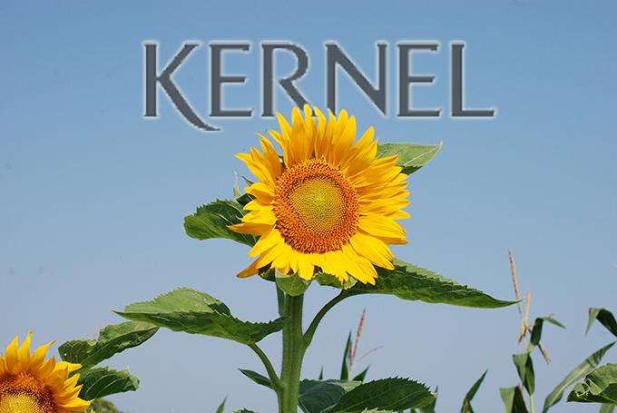 Kernel logo