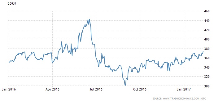 World corn price dynamics February 2017
