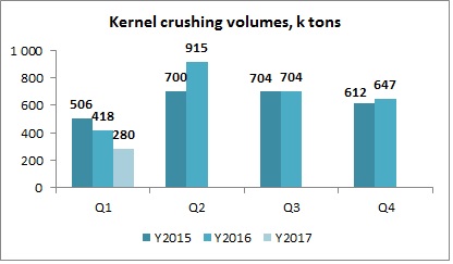 Kernel quarterly sunflower seeds crushing